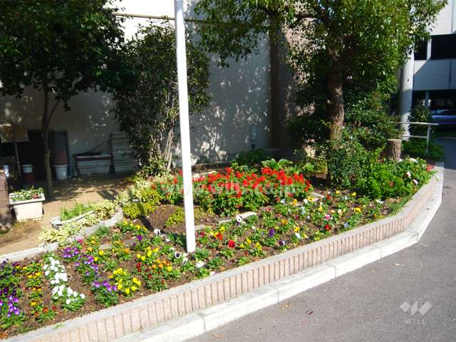 花壇もきれいに手入れされています。