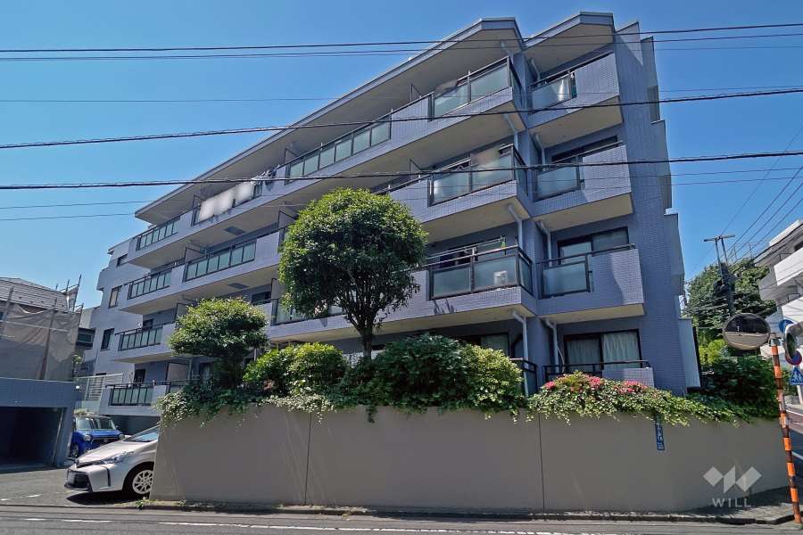 セザール雪が谷大塚の外観（東側から）