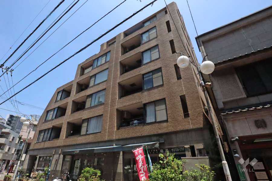 グランテム南雪谷の外観(南西側から)