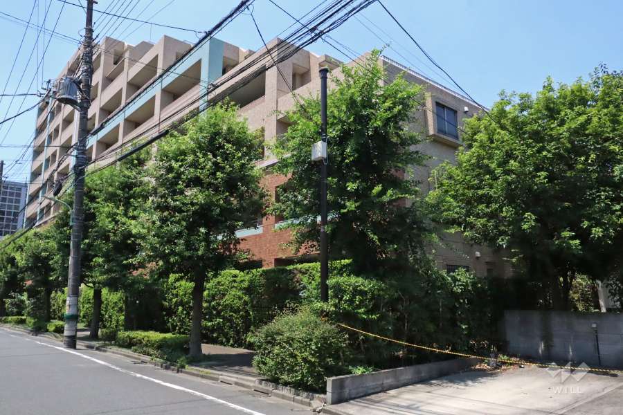 南雪谷ハイライズの外観(東側から)