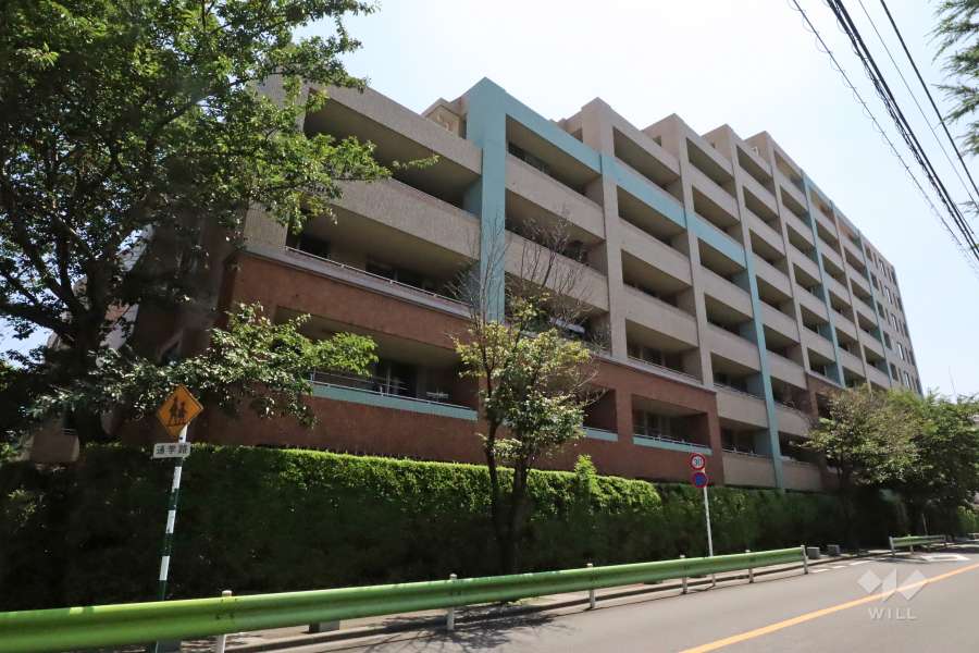 南雪谷ハイライズの外観(西側から)