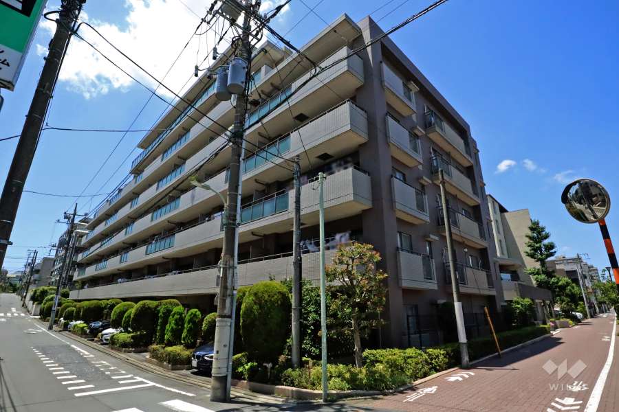 フェアロージュ南雪谷アークスコートの外観(北東側から)