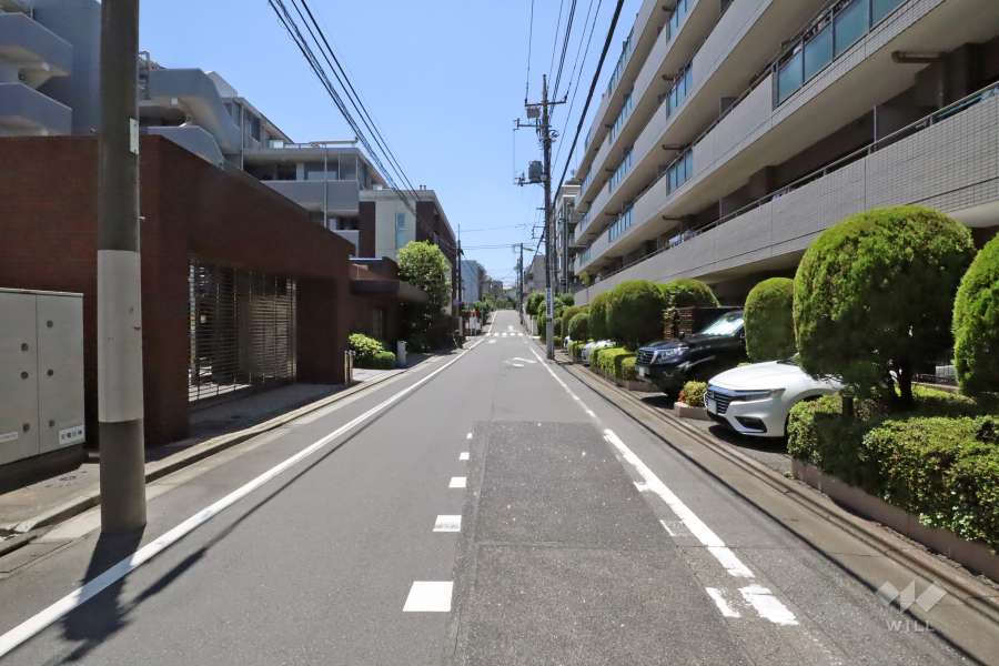 敷地南東側の前面道路(北東側から)