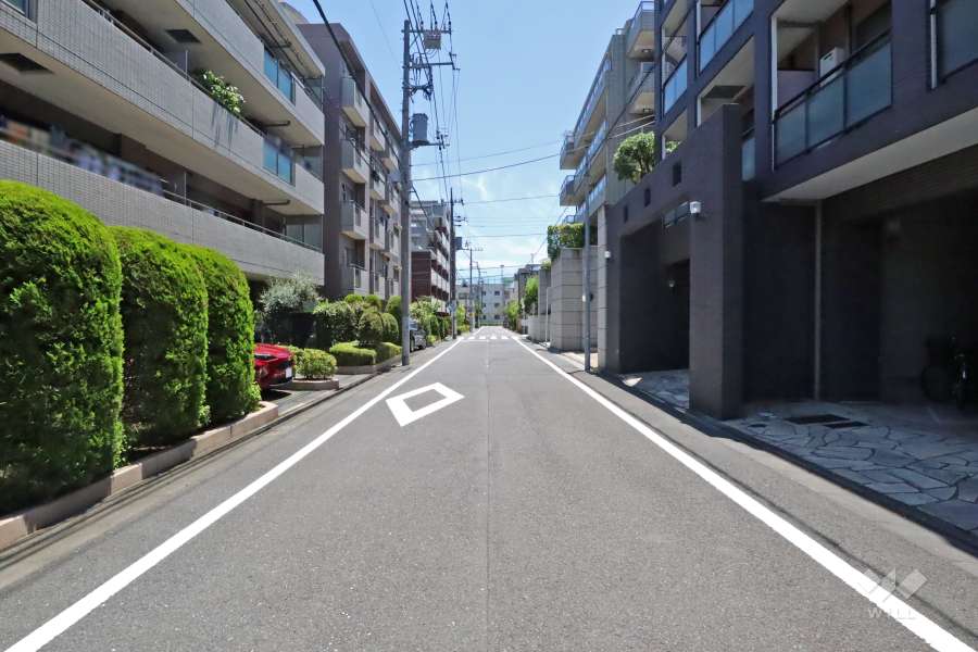 敷地南西側の前面道路(北西側から)