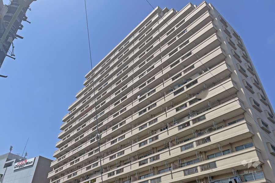 石川台ハイライズの外観（西側から）