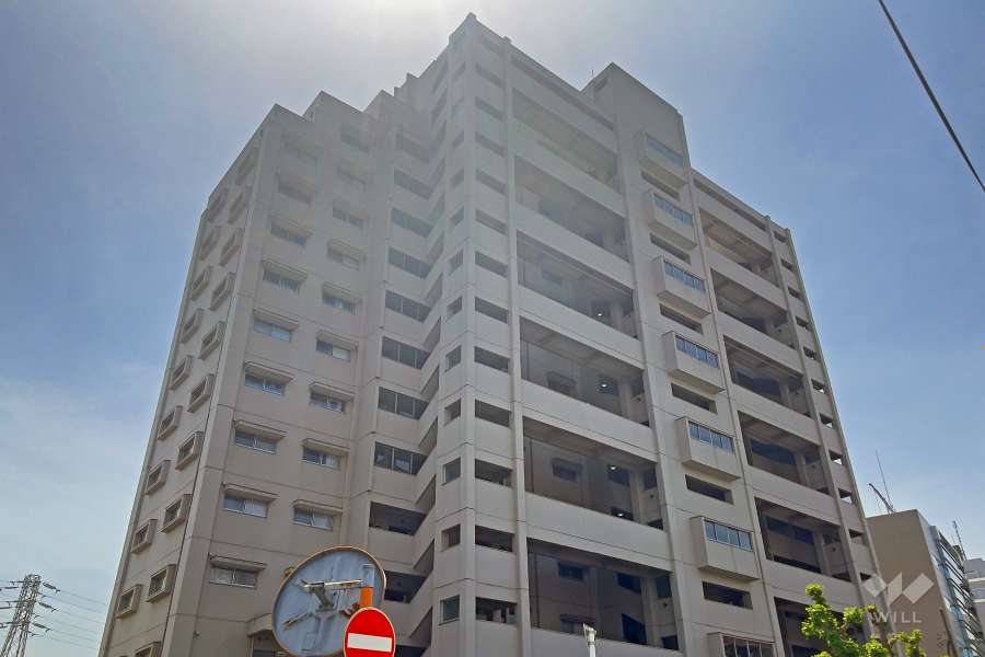 石川台ハイライズの外観（北東側から）