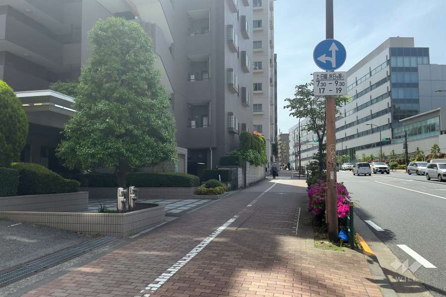 敷地北西側の前面道路（北東側から）