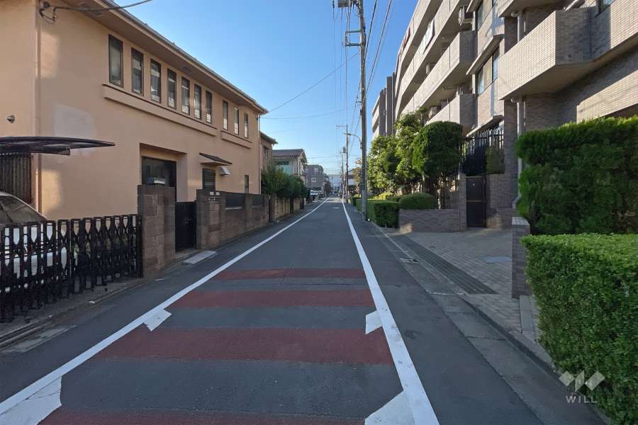 敷地東側の前面道路（北側から）