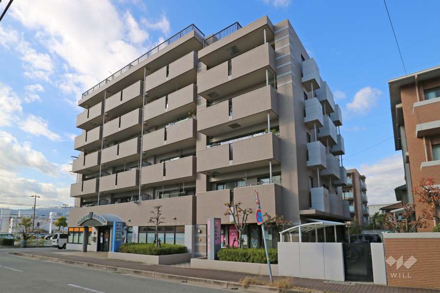 ラッスルプラザ門前の外観（南東側から）
