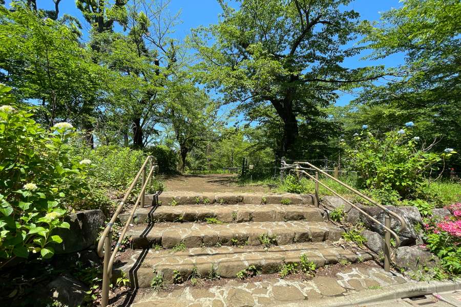 道路を挟んだ西側に公園があります。