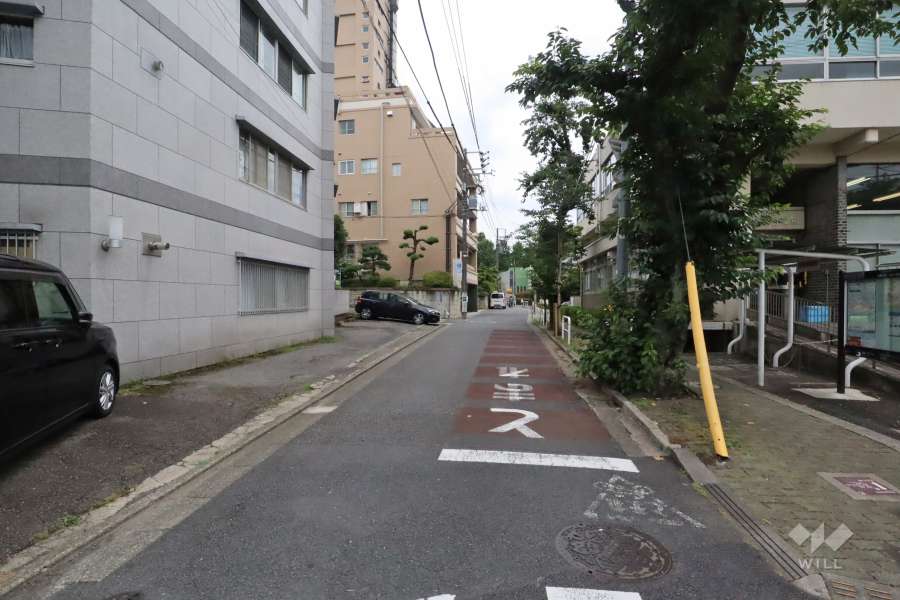 敷地西側の前面道路