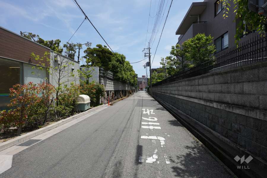 敷地北側の前面道路（西側から）