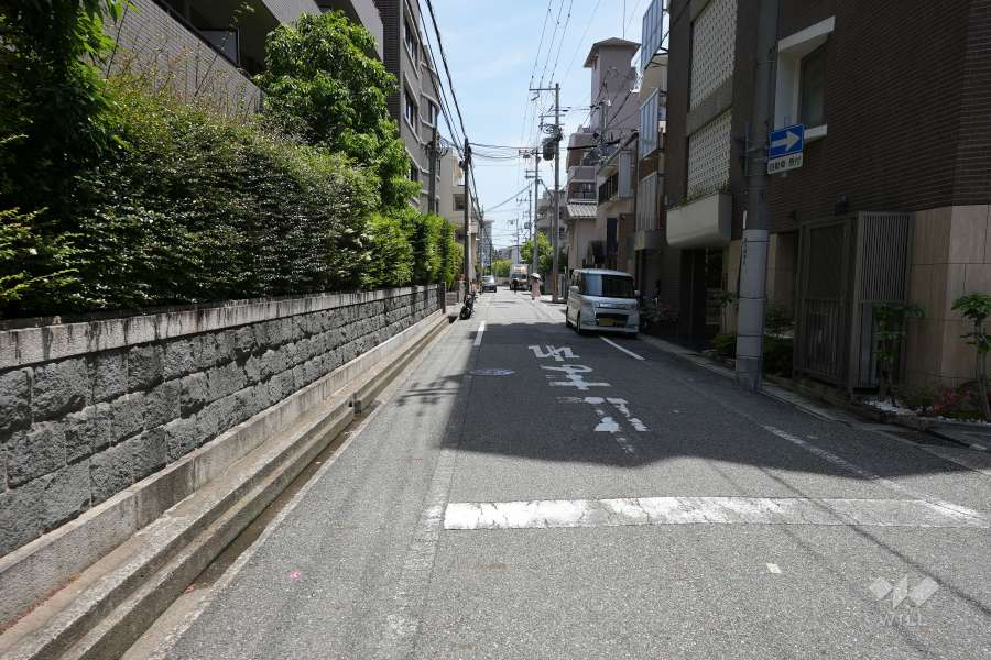 敷地南側の前面道路（西側から）