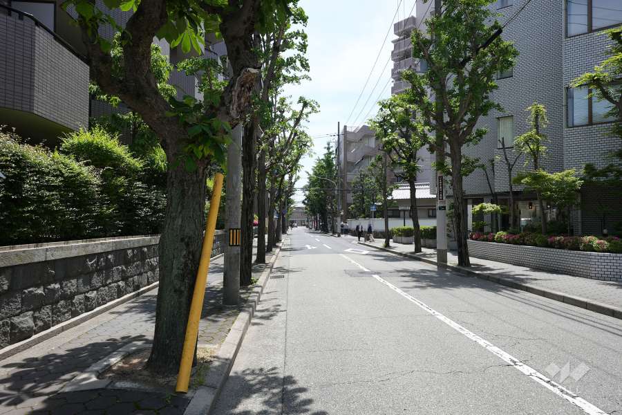 敷地南西側の前面道路（北西側から）