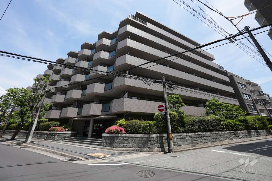 ステイツ甲子園口の外観（南側から）