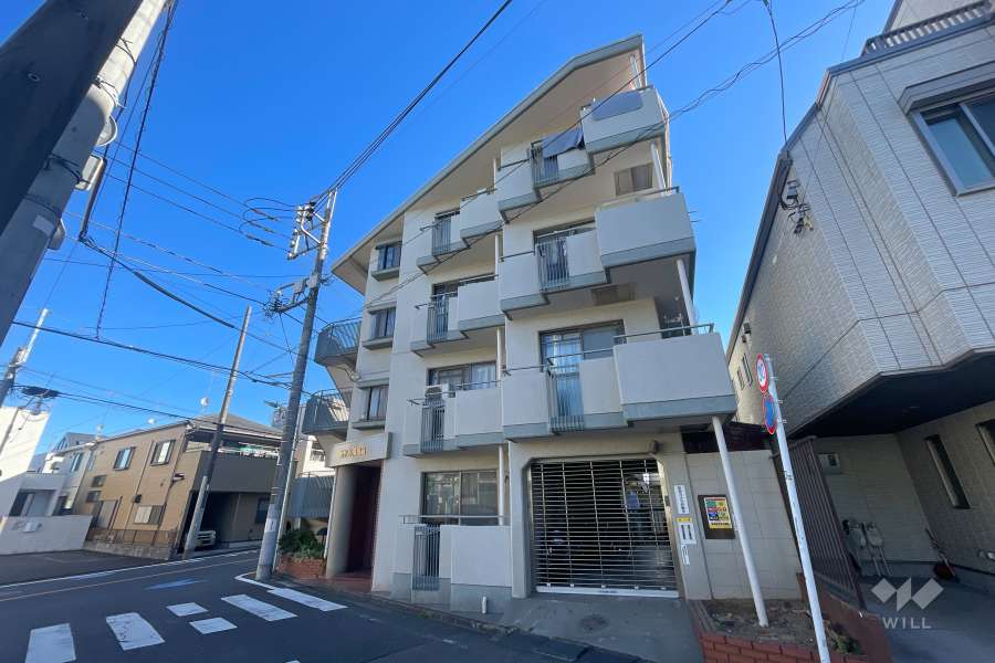 セザール南馬込の外観（西側から）　