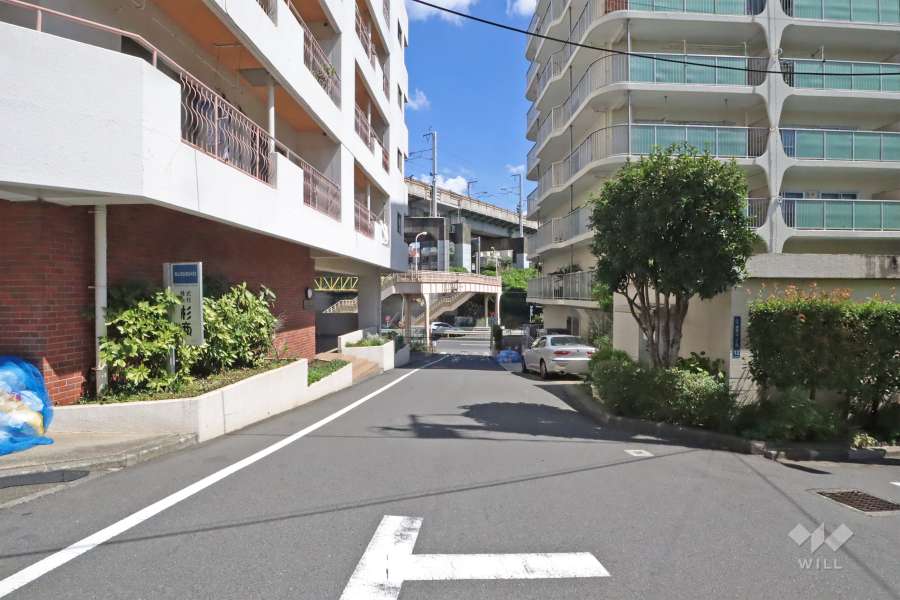 敷地北西側の前面道路(北東側から)