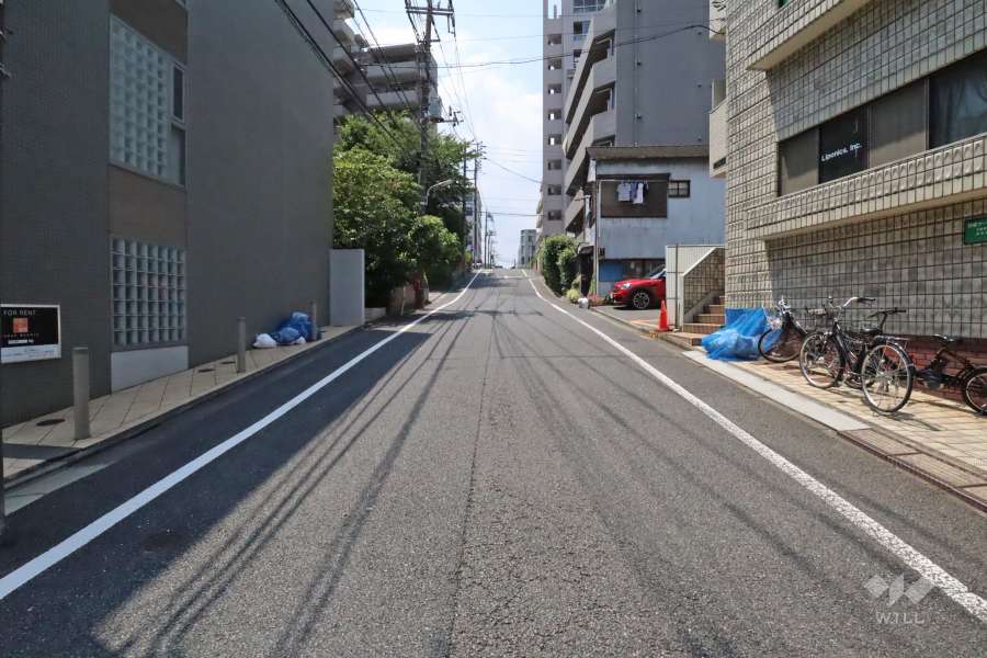 敷地南側の前面道路(東側から)