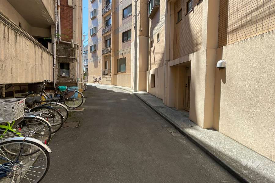 敷地南側の前面道路　