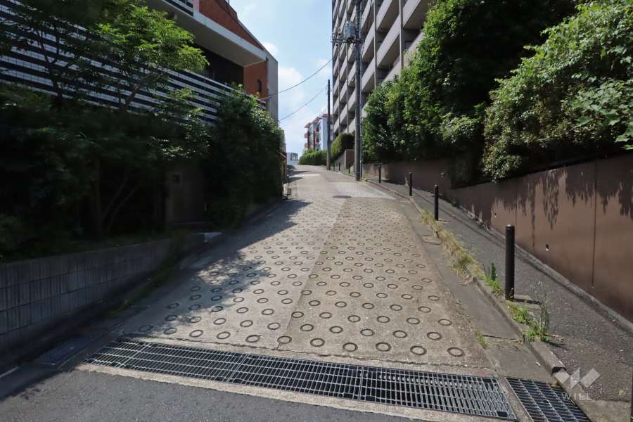 敷地南側の前面道路（東側から）