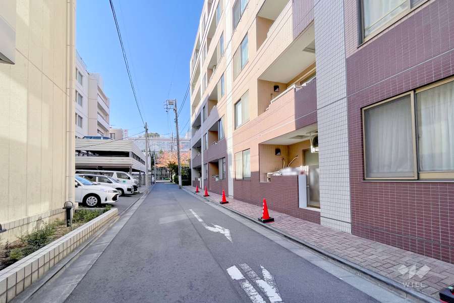 敷地南側の前面道路（東側から）