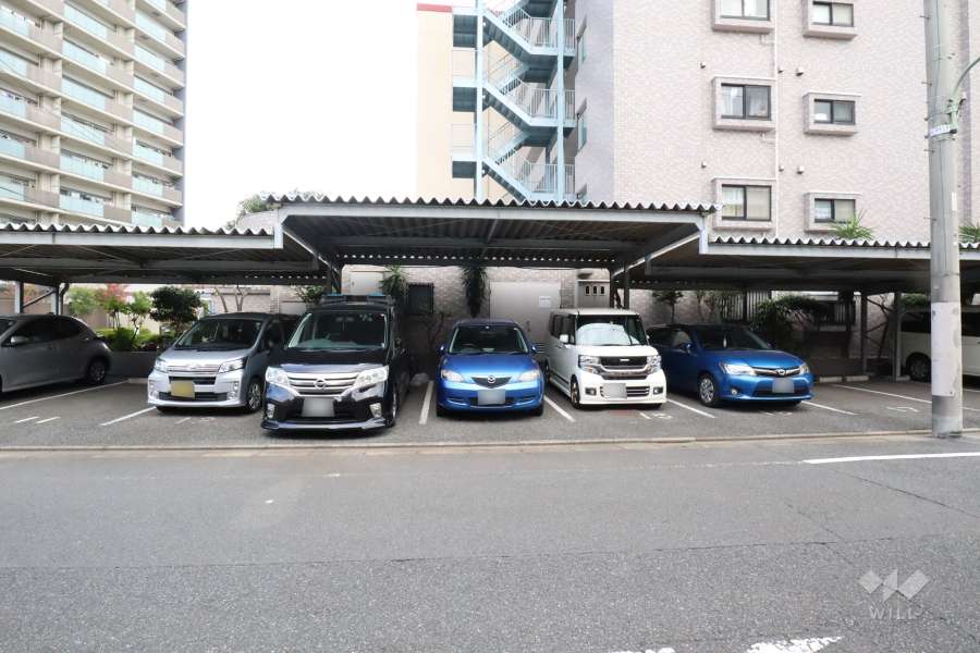 敷地内駐車場（屋外平面式）