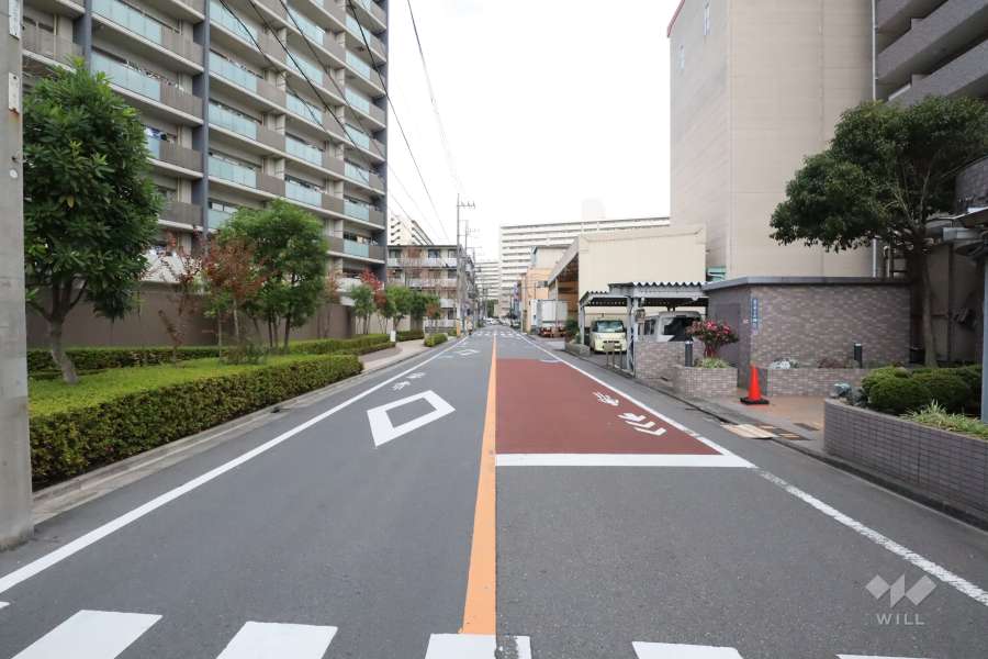 敷地北側の前面道路（西側から）