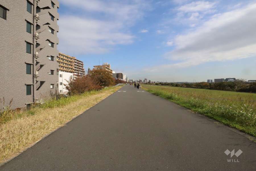 敷地南側の前面道路（西側から）