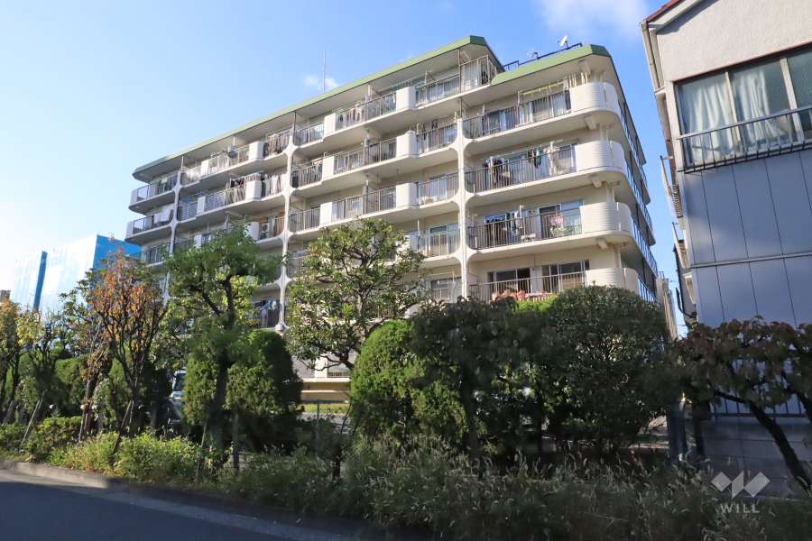 ベルエア多摩川の外観(南東側から)