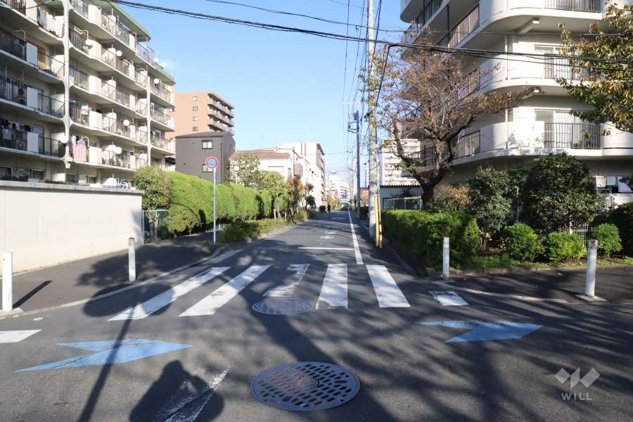 敷地南側の前面道路(西側から)