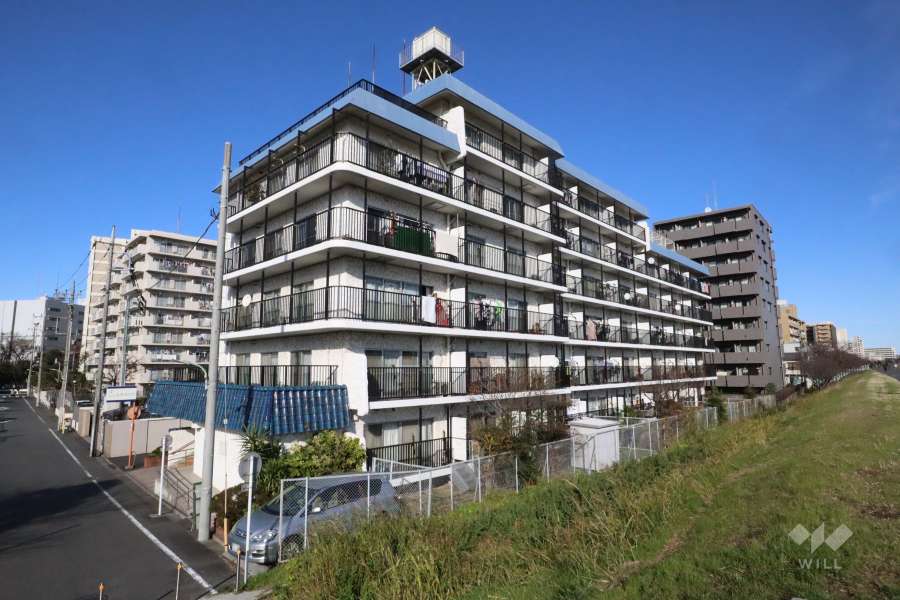 秀和第２多摩川レジデンスの外観(南西側から)