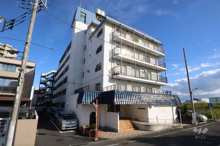 秀和第２多摩川レジデンスの外観(西側から)