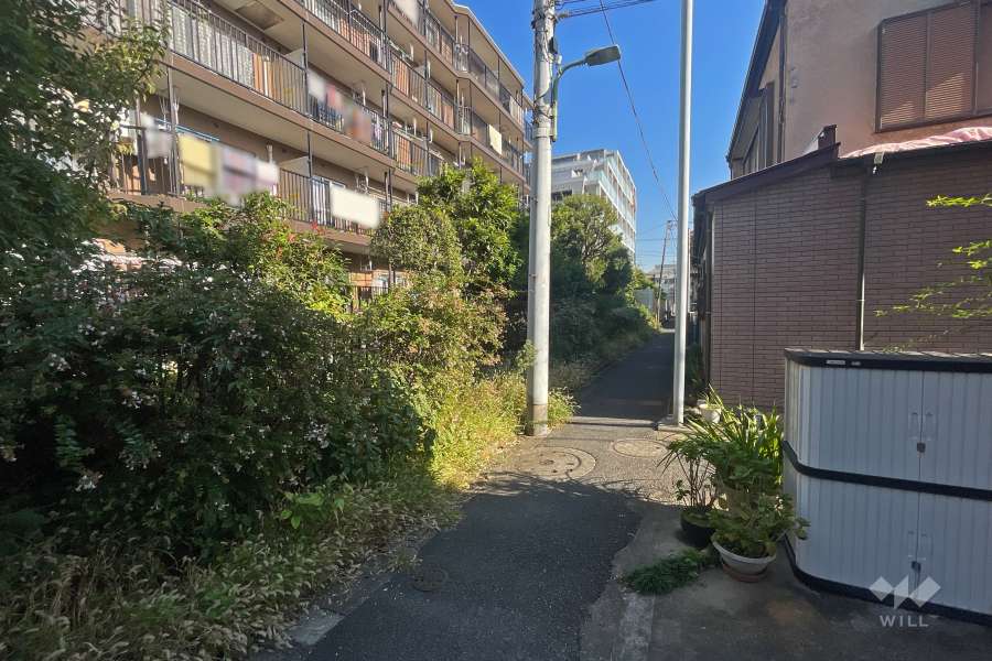 敷地南西側の前面道路（北西側から）