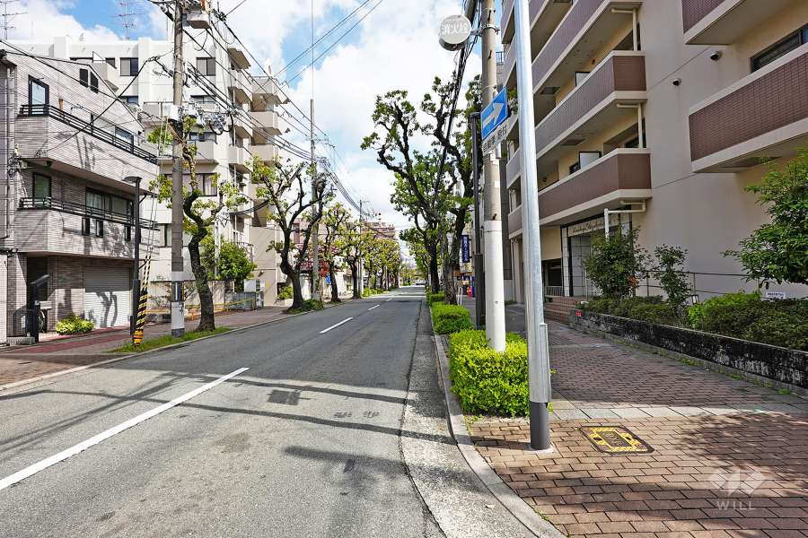 敷地西側の前面道路（南側から）