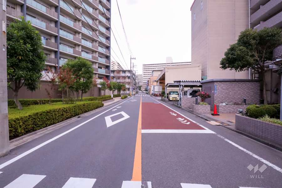 敷地南側の前面道路(西側から)