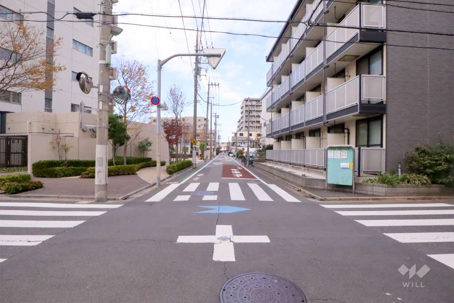 敷地東側の前面道路(南側から)