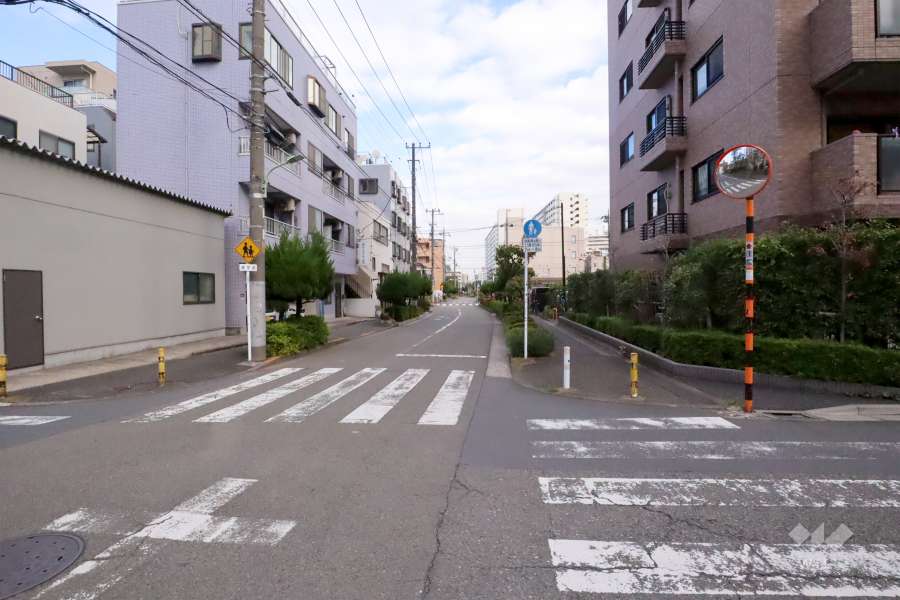 敷地北側の前面道路(西側から)