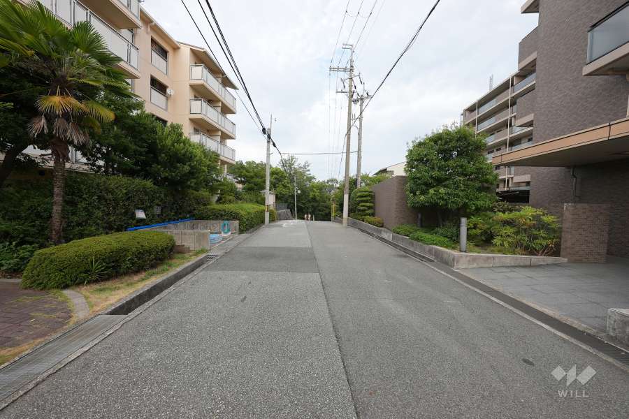 敷地北側の前面道路（西側から）