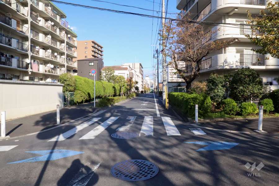 敷地北側の前面道路(西側から)