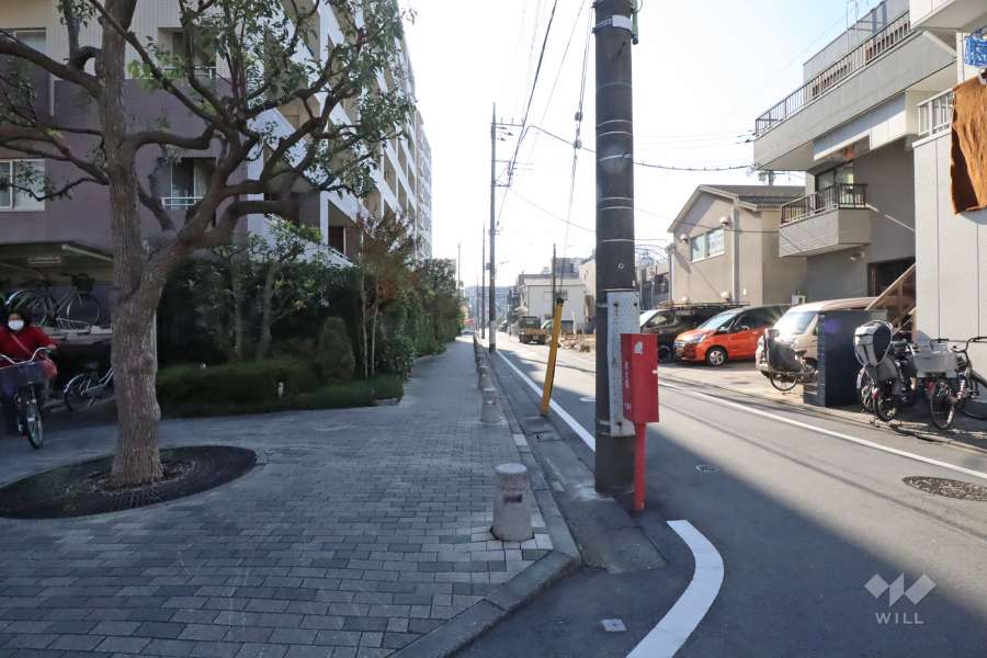 敷地西側の前面道路（北側から）