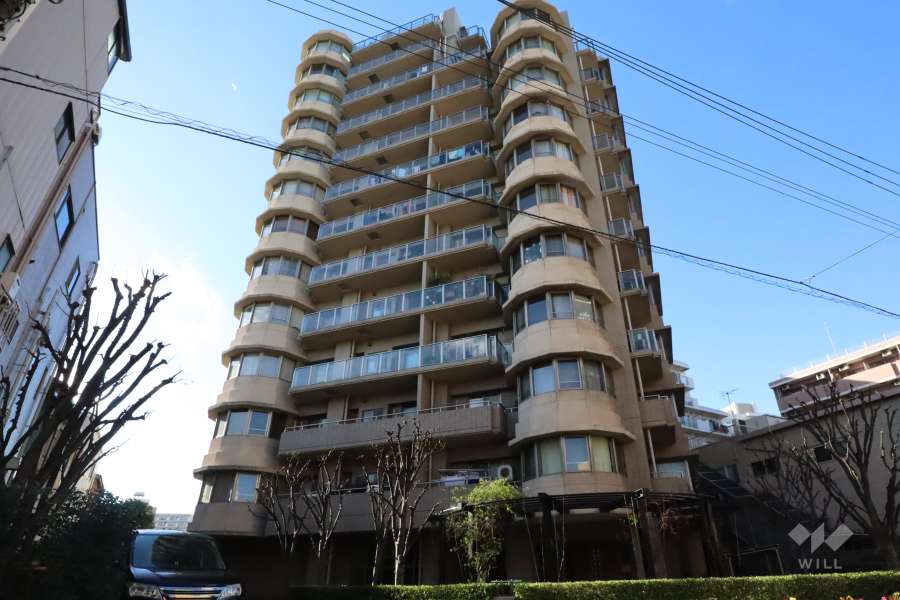 グランドステージ多摩川の外観（南西側から）