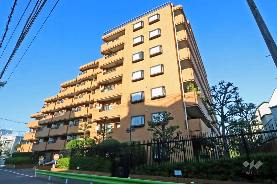 ロイヤルハイツ南六郷の外観（南側から）