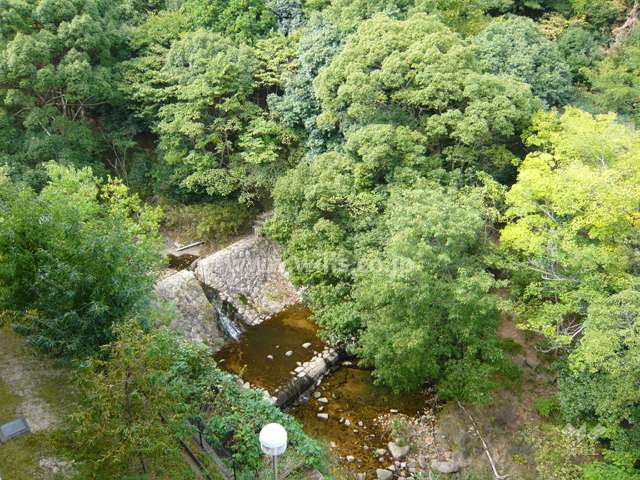 マンションの北側を流れる夙川。対岸が『北山公園』です。
