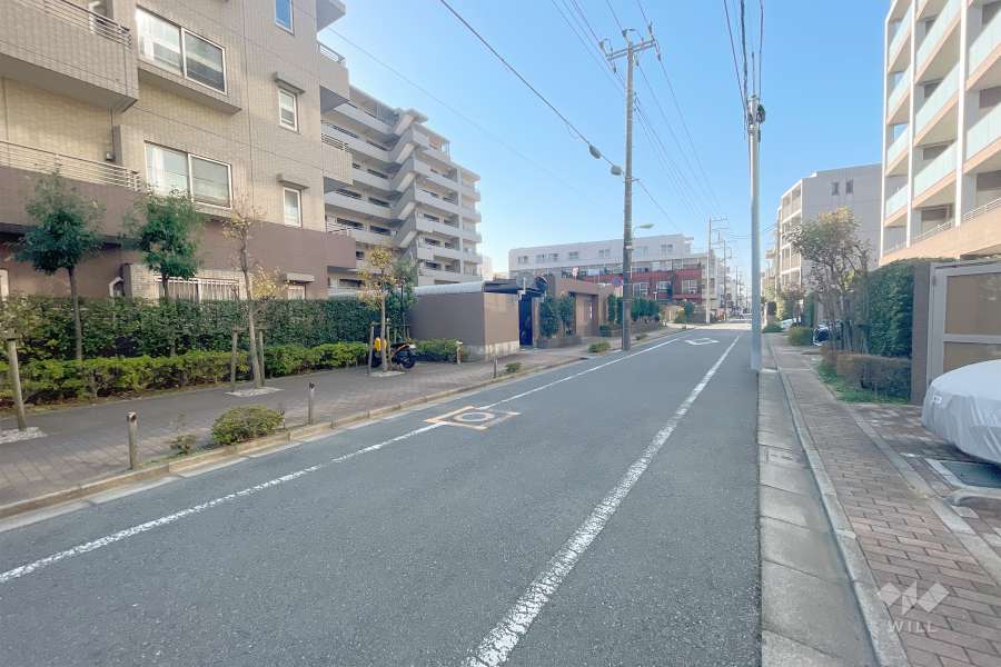 敷地北側の前面道路（東側から）