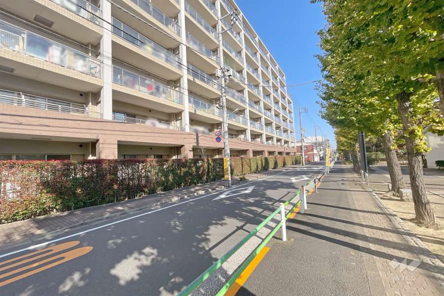 敷地南側の前面道路（西側から）