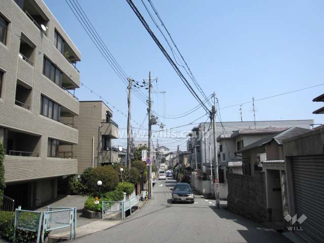 敷地の西側には桜の木があります。
