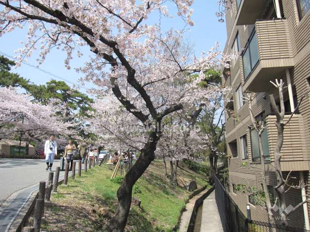 西側は夙川沿いの通りです。
