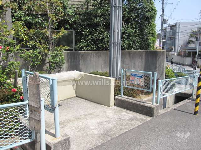 南側前面道路。閑静な街並みです。