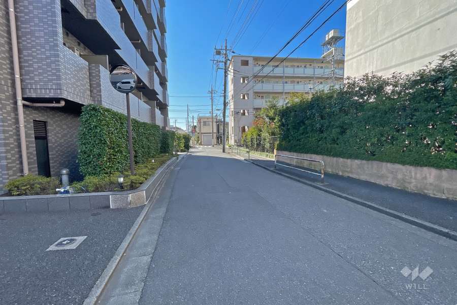 敷地西側の前面道路（北側から）