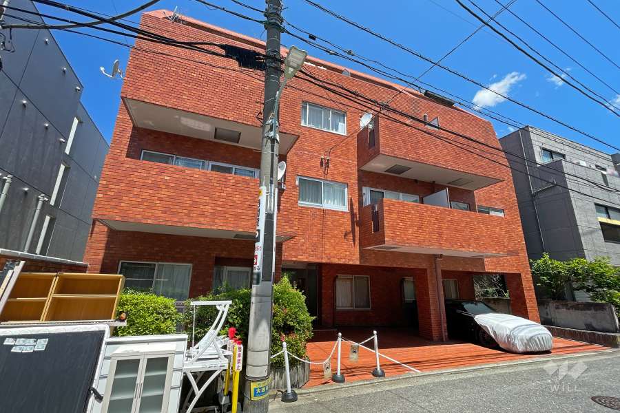 シャトゥブラウンの外観（南西側から）